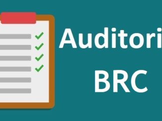 auditoria BRC interna